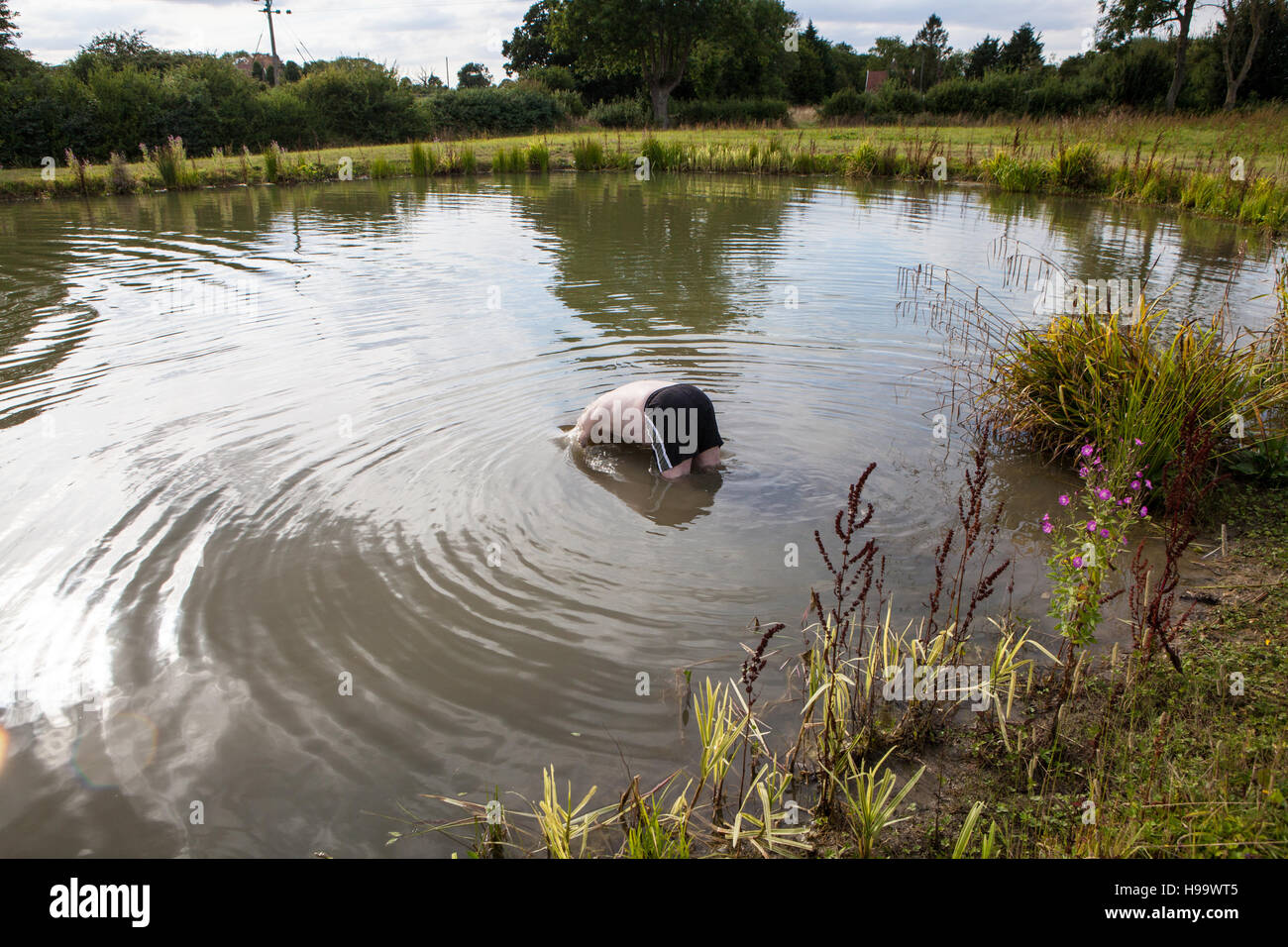 Man diving into lake Stock Photo Alamy