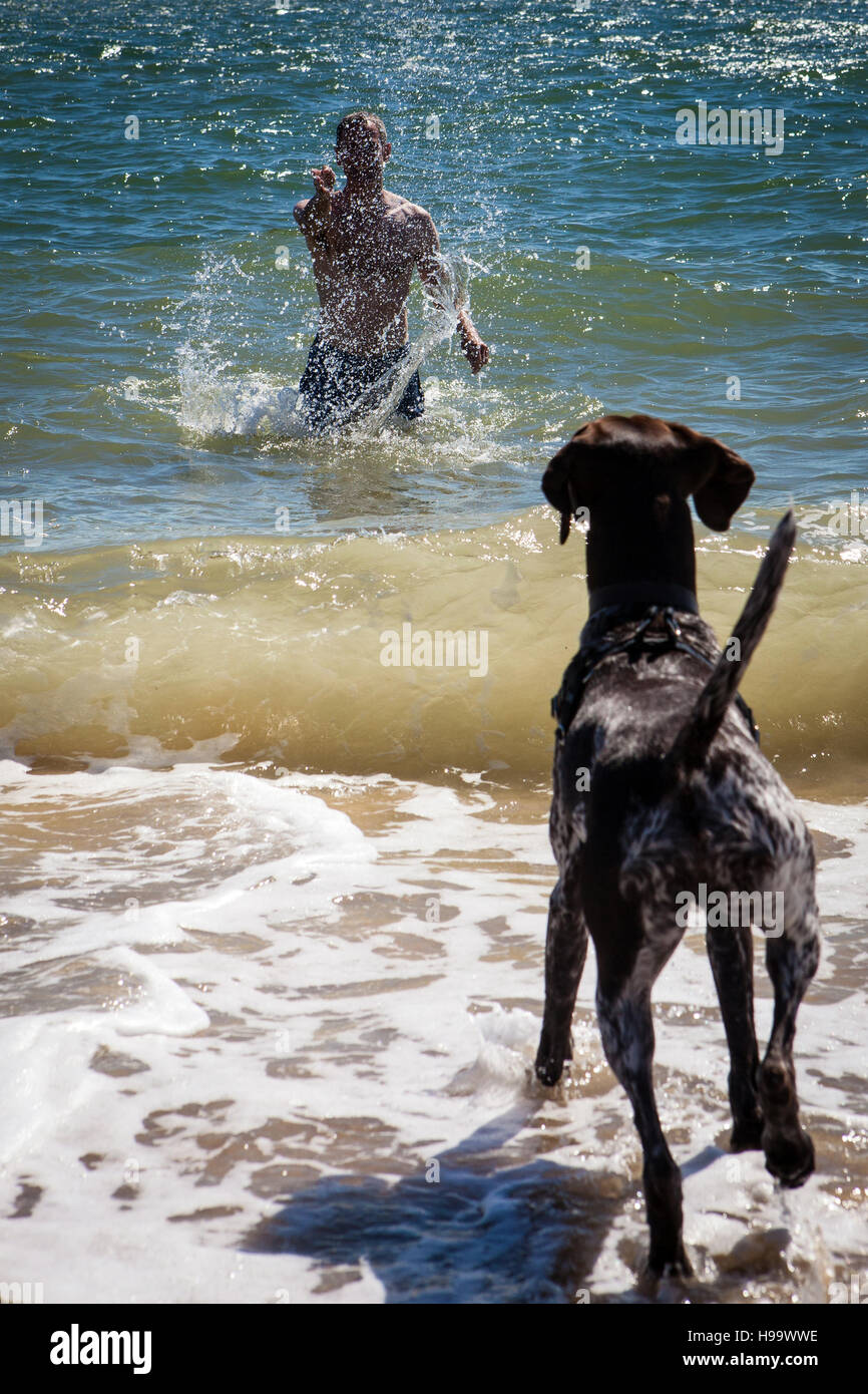Man playing with a dog in the sea Stock Photo