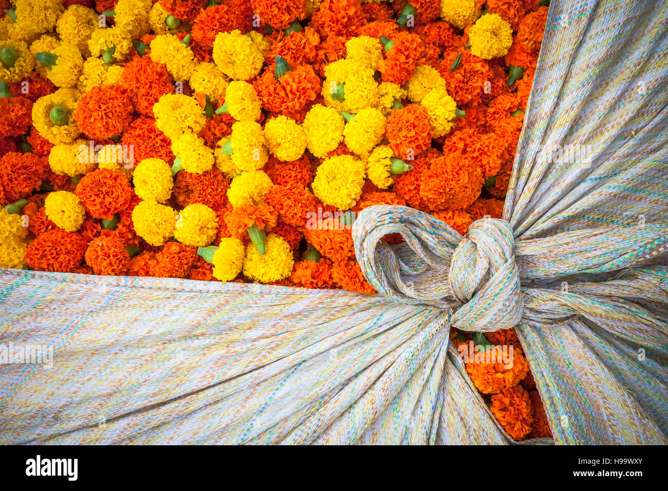 Indian garlands of flowers hi-res stock photography and images - Alamy