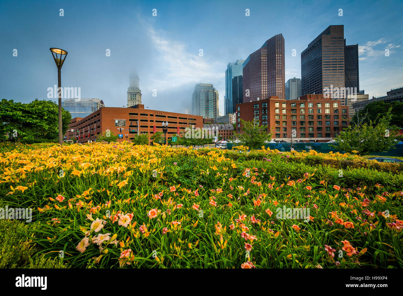 Gardens at North End Park with view of buildings in downtown in fog, in ...