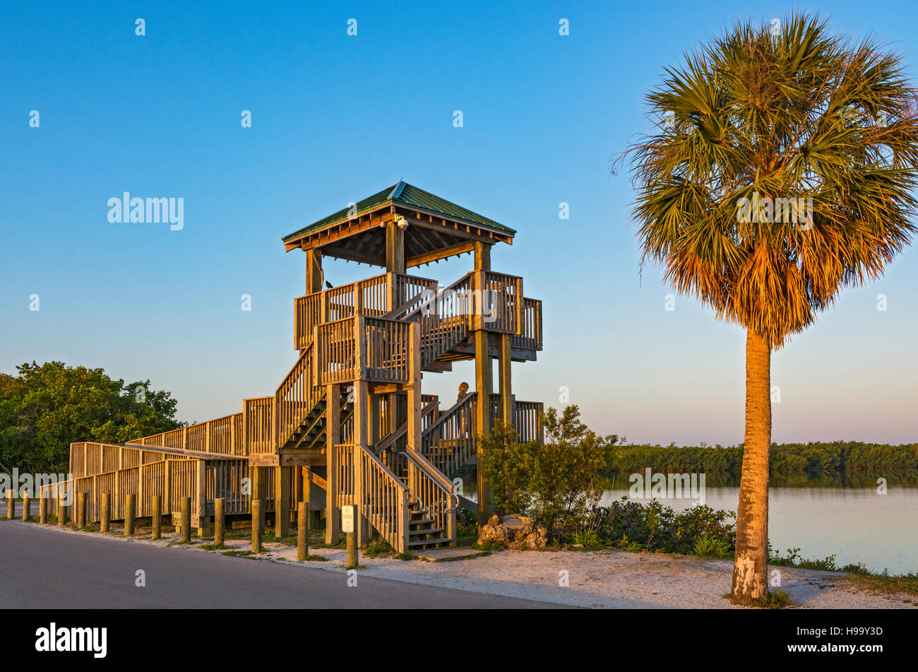 Florida, Sanibel Island, J.N. 'Ding' Darling National Wildlife Refuge, Wildlife Drive, Observation Tower, early morning Stock Photo