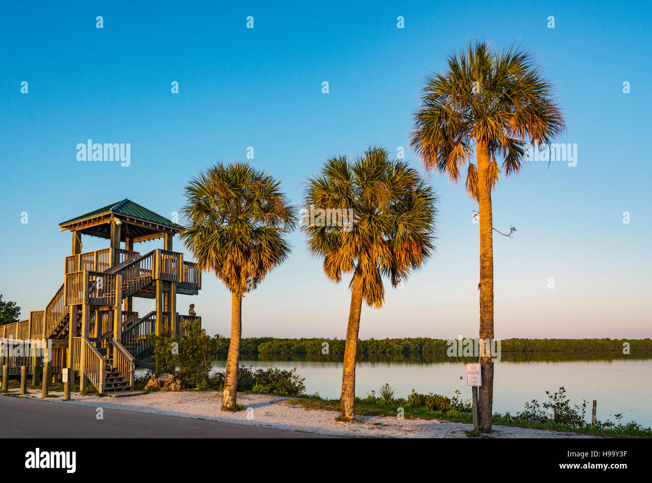 Florida, Sanibel Island, J.N. 'Ding' Darling National Wildlife Refuge, Wildlife Drive, Observation Tower, early morning Stock Photo