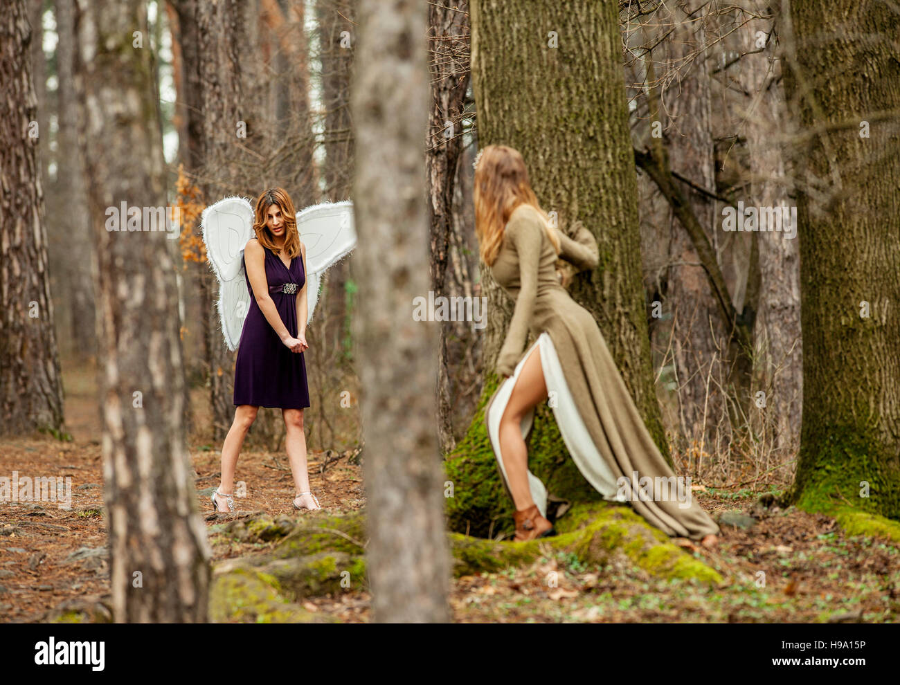 Two beautiful women in a fairytale forest. One as fairy with wings , the other is looking at her through the trees. Stock Photo