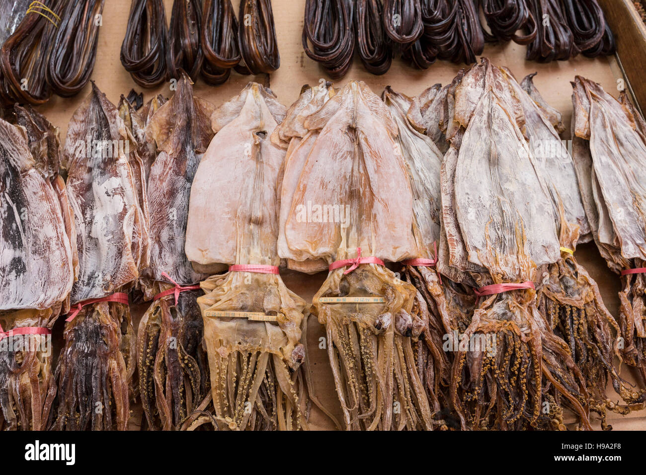 Dried squid in at market in Korea Stock Photo - Alamy