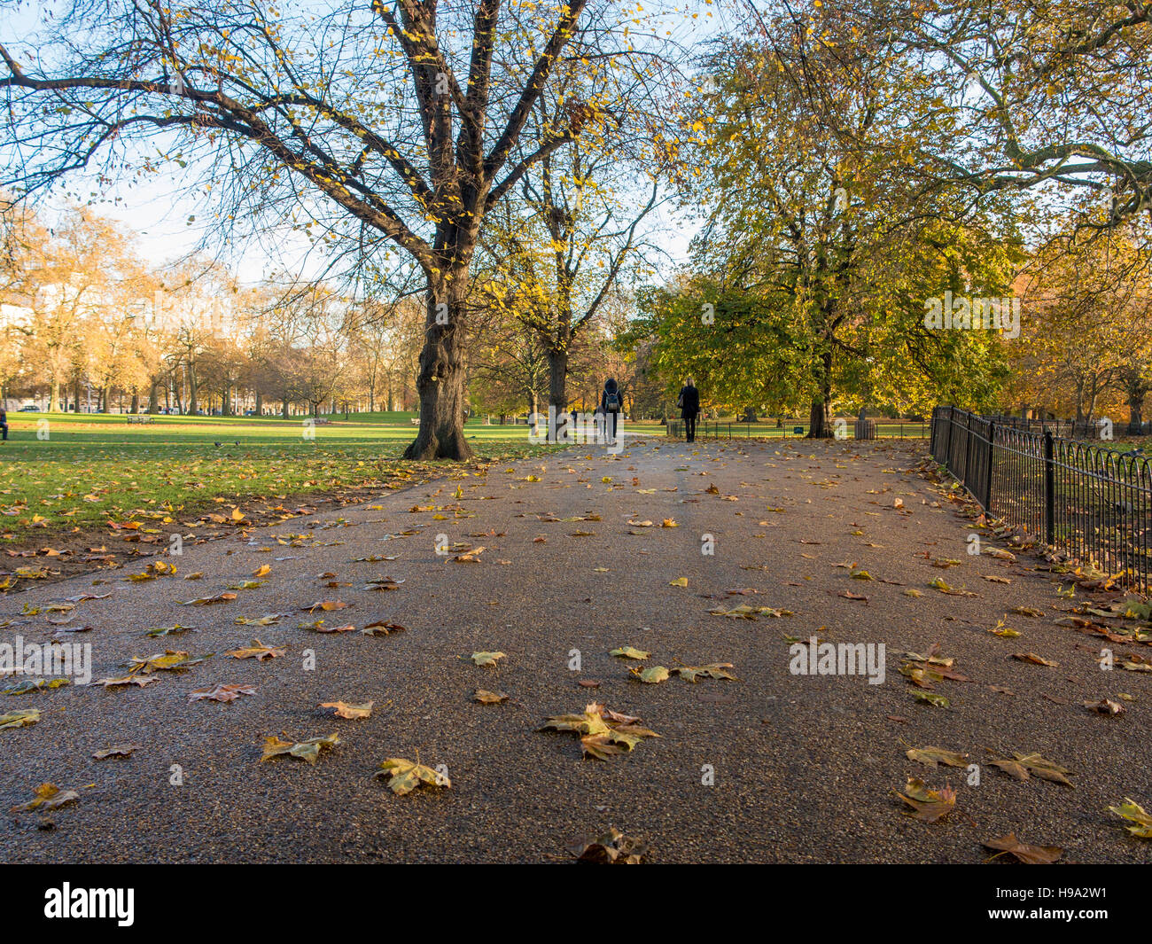 Fallen leaves on the path of a London park Stock Photo - Alamy