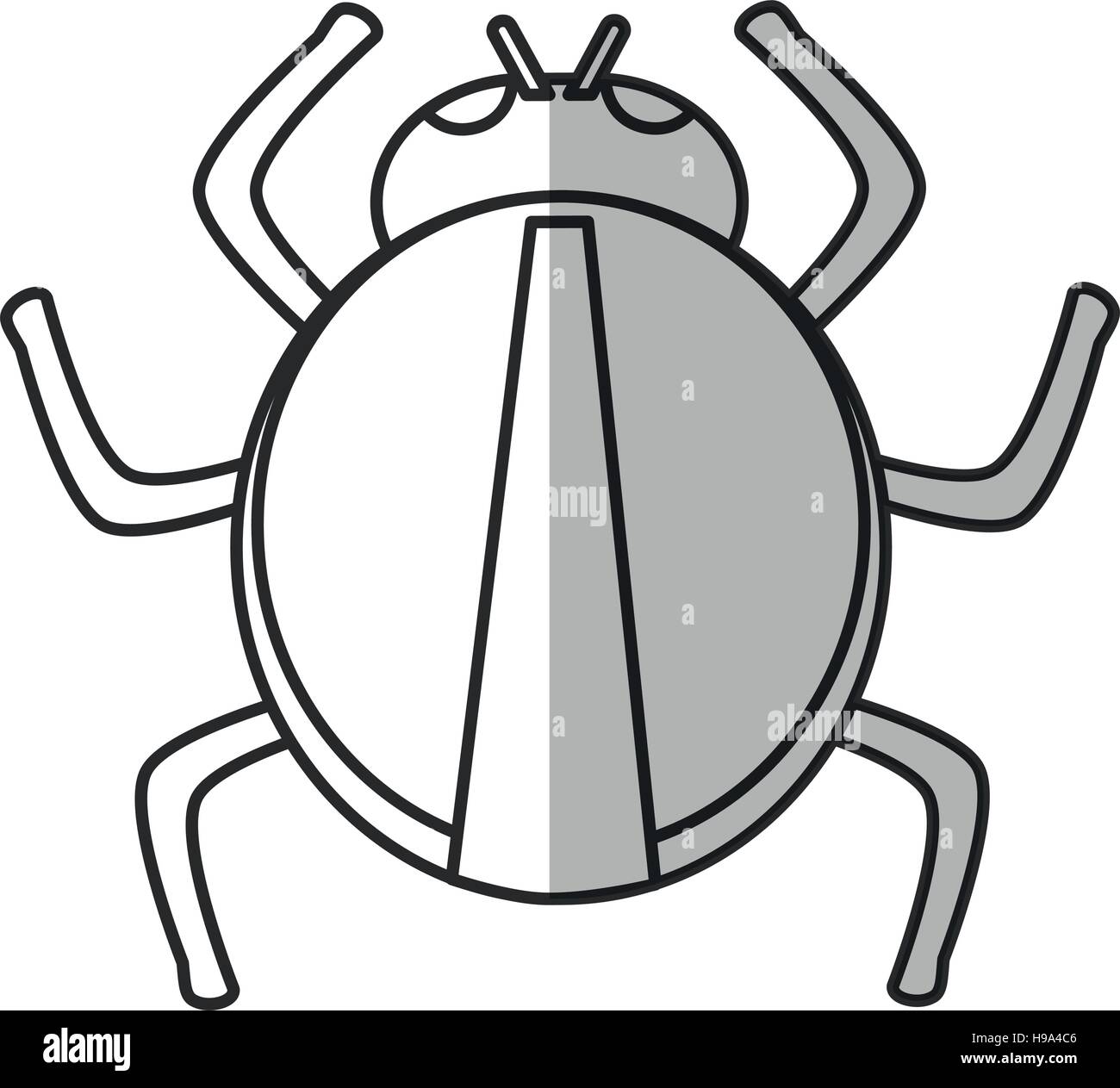 Isolated bug design Stock Vector Image & Art - Alamy