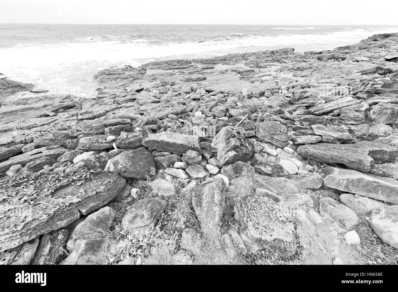 blur in south africa   sky ocean  isimagaliso reserve nature and rocks Stock Photo