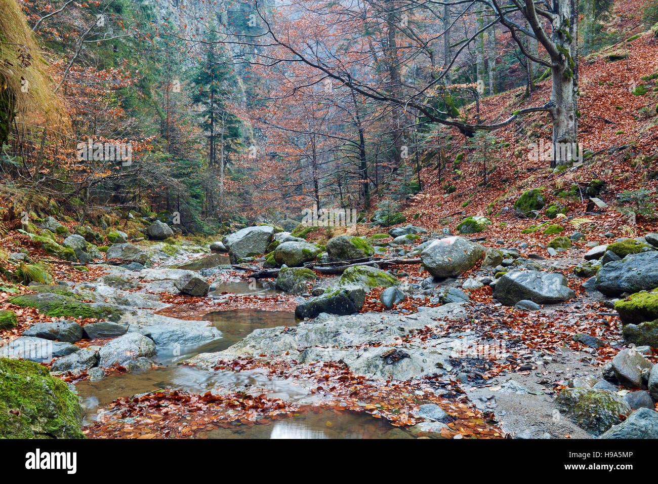 Landscape with a canyon and a river in rocky mountains Stock Photo - Alamy