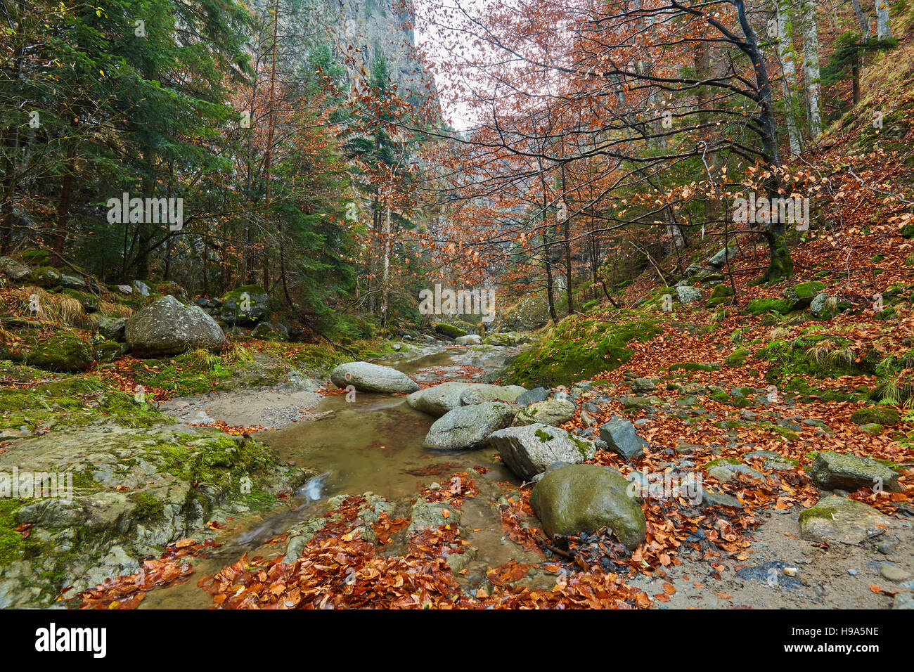 Landscape with a canyon and a river in rocky mountains Stock Photo - Alamy