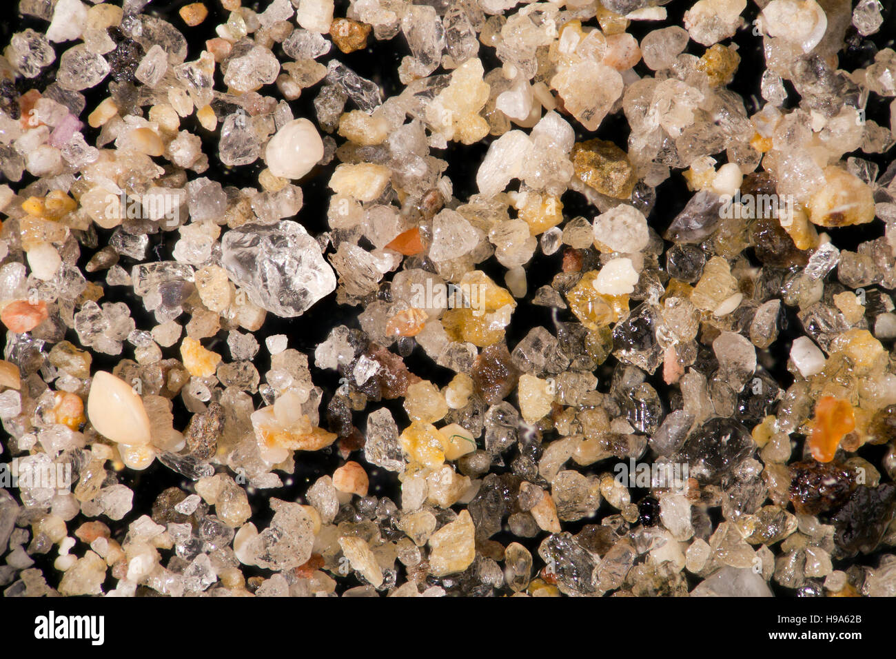 Sand grains & marine fragments, high macro view, Kardemena, Kos island, Greece Stock Photo