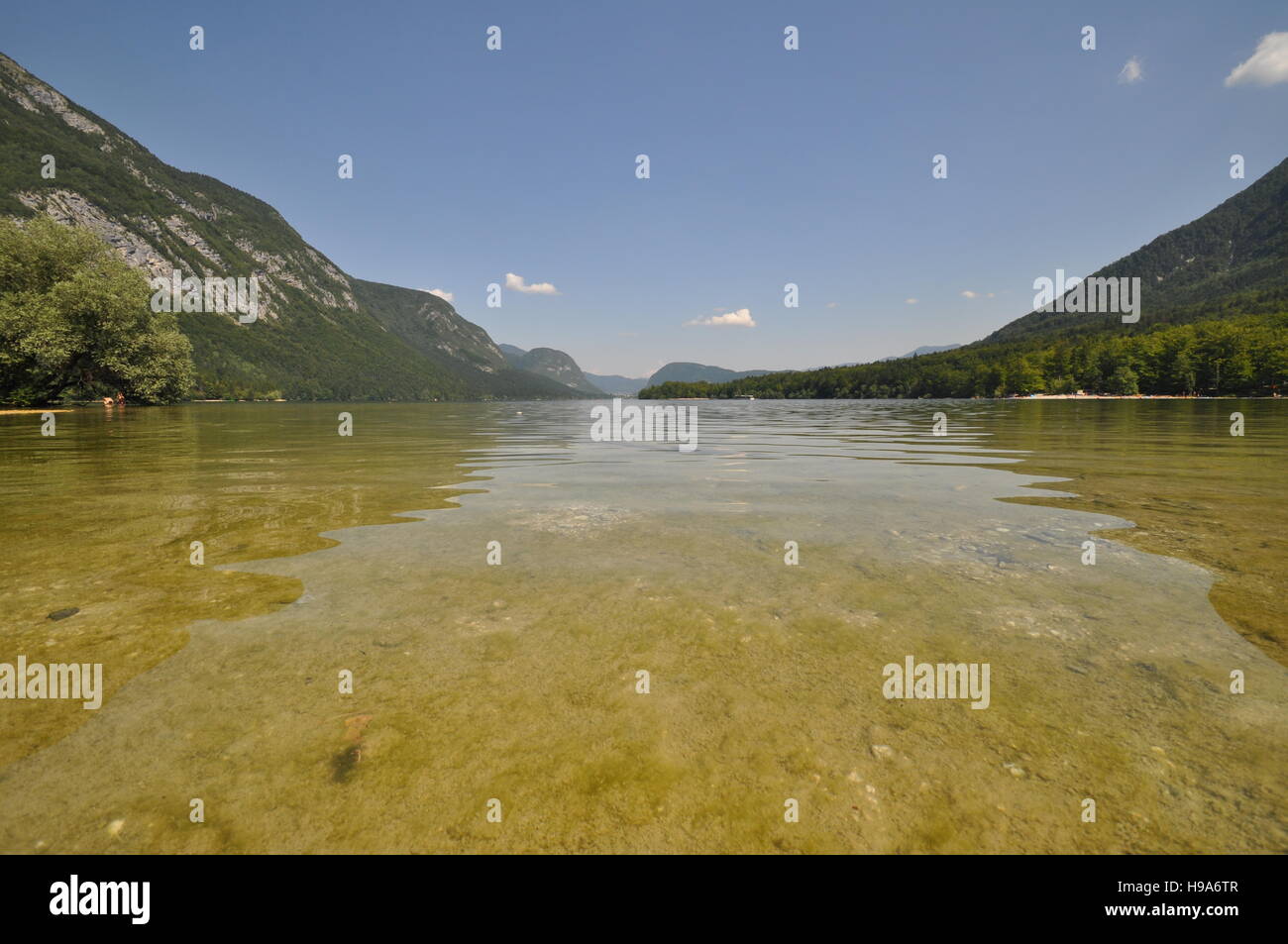 Shallow waters of Lake Bohinj, Slovenia - Stock Image