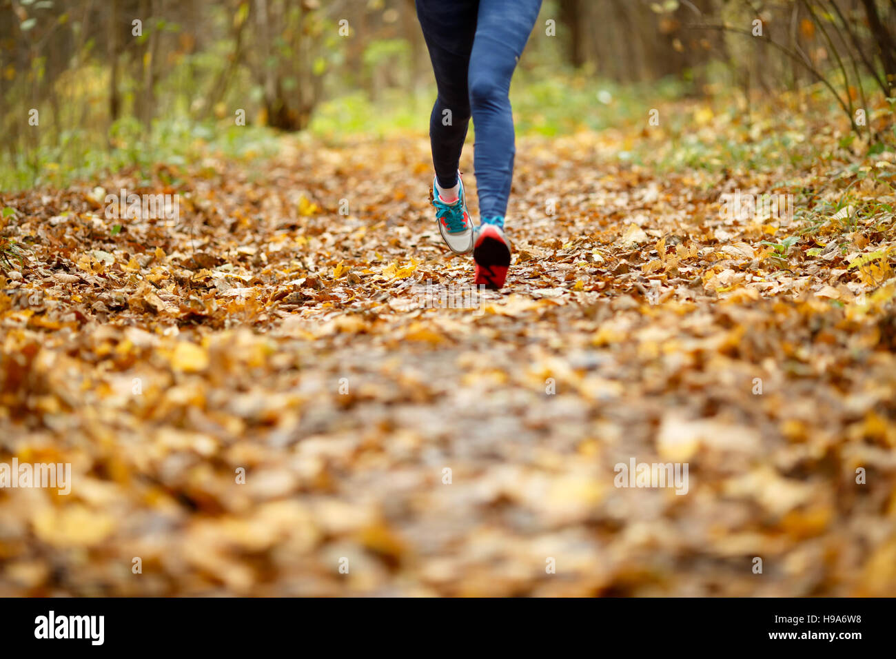 Woman in sneakers running autumn Stock Photo - Alamy
