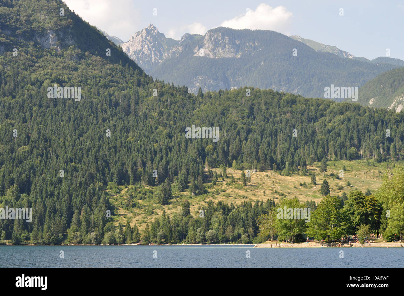 Forested mountain slopes of Lake Bohinj, Slovenia Stock Photo