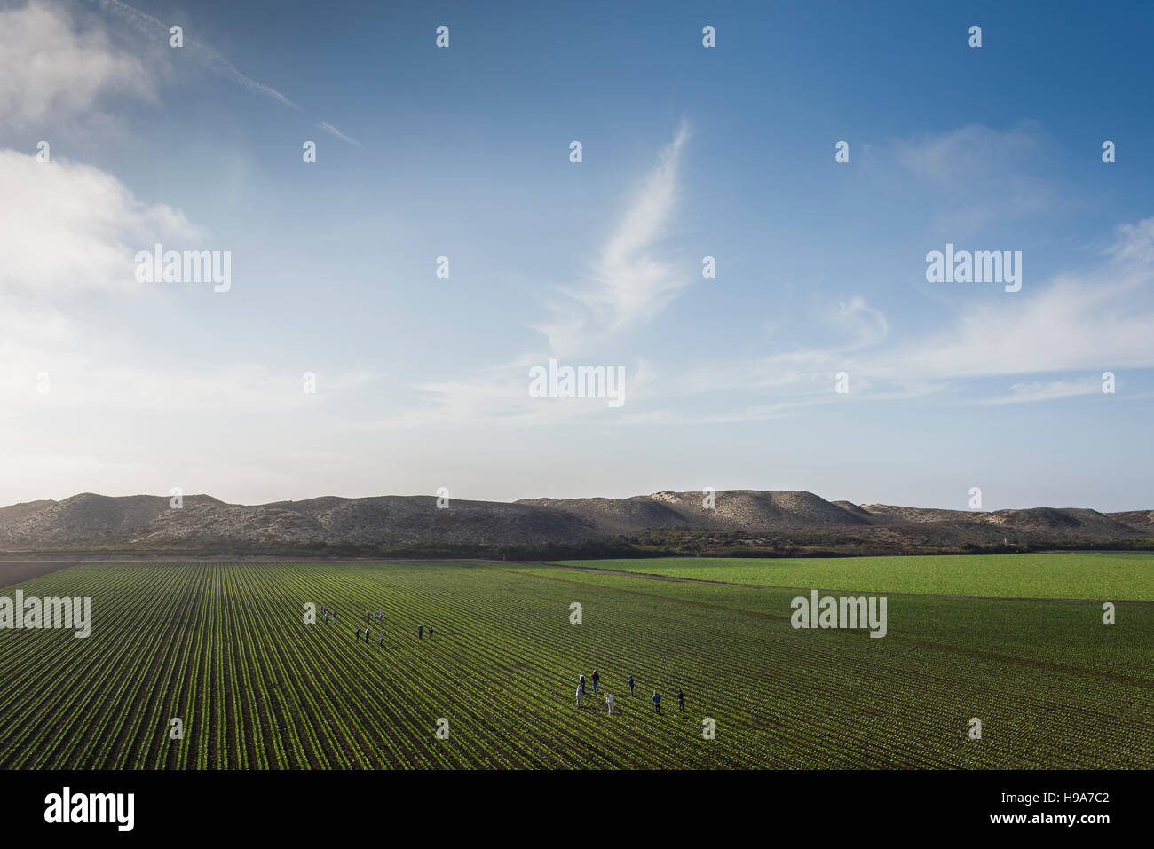 Agriculture and farm lands along highway 101 in California Stock Photo