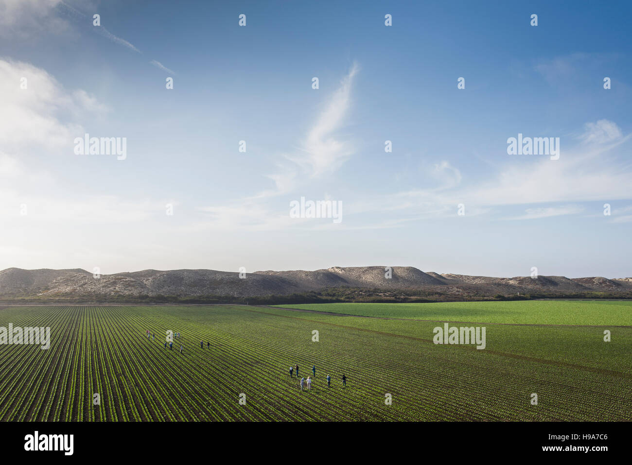 Agriculture and farm lands along highway 101 in California Stock Photo