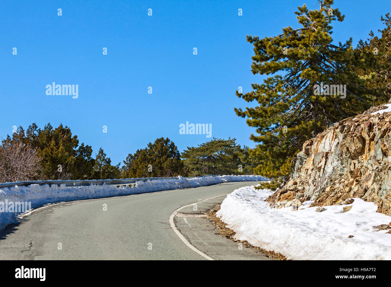 Empty curved road passing through the pine forest in winter. Troodos mountains, Cyprus Stock Photo