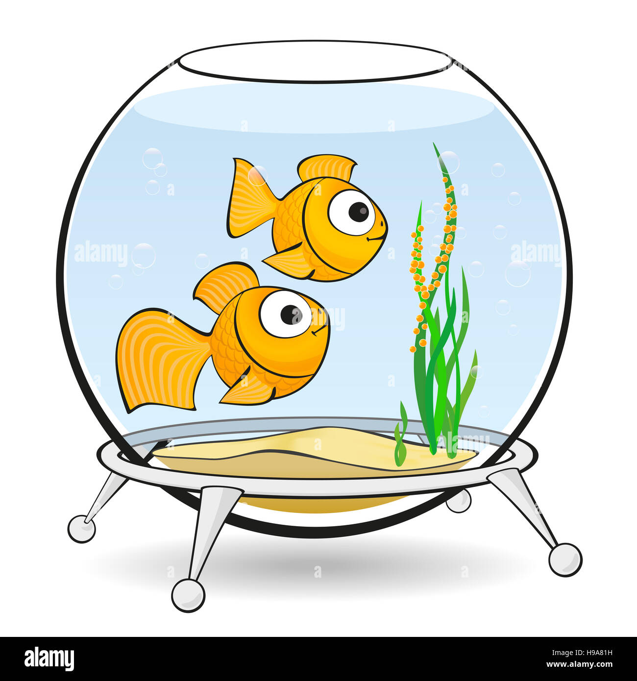 couple goldfish in an aquarium with caviar Stock Photo