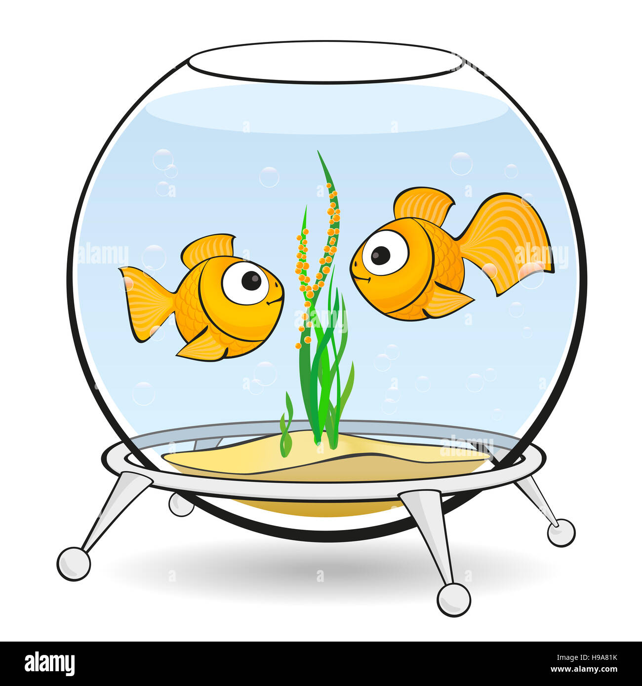 couple goldfish in an aquarium Stock Photo