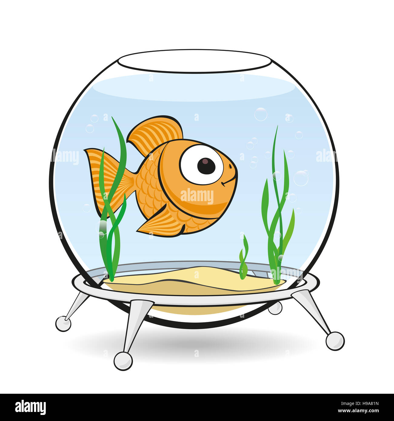 gold fish in aquarium Stock Photo