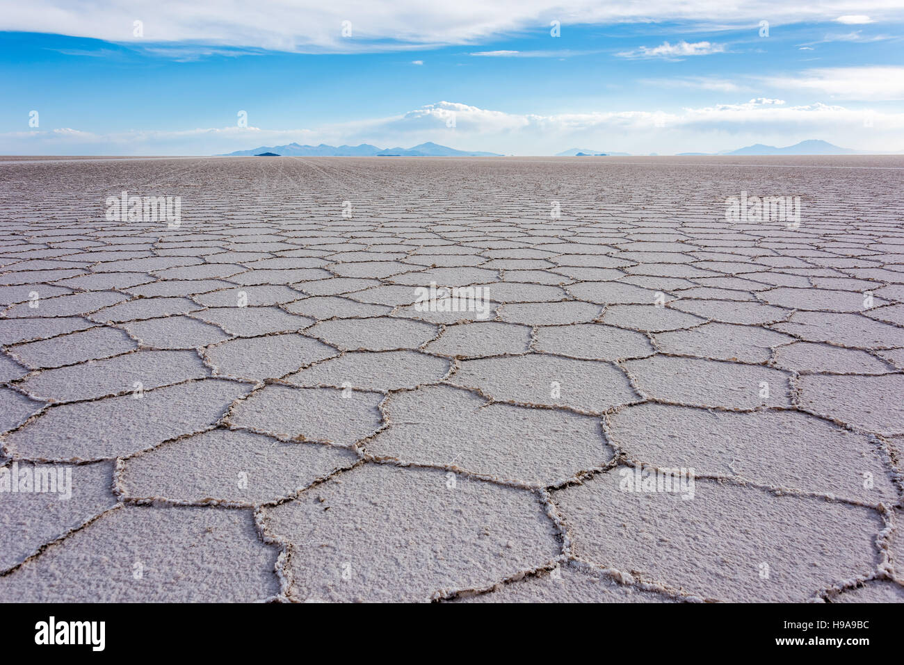 Bolivian Salt Flats Stock Photo