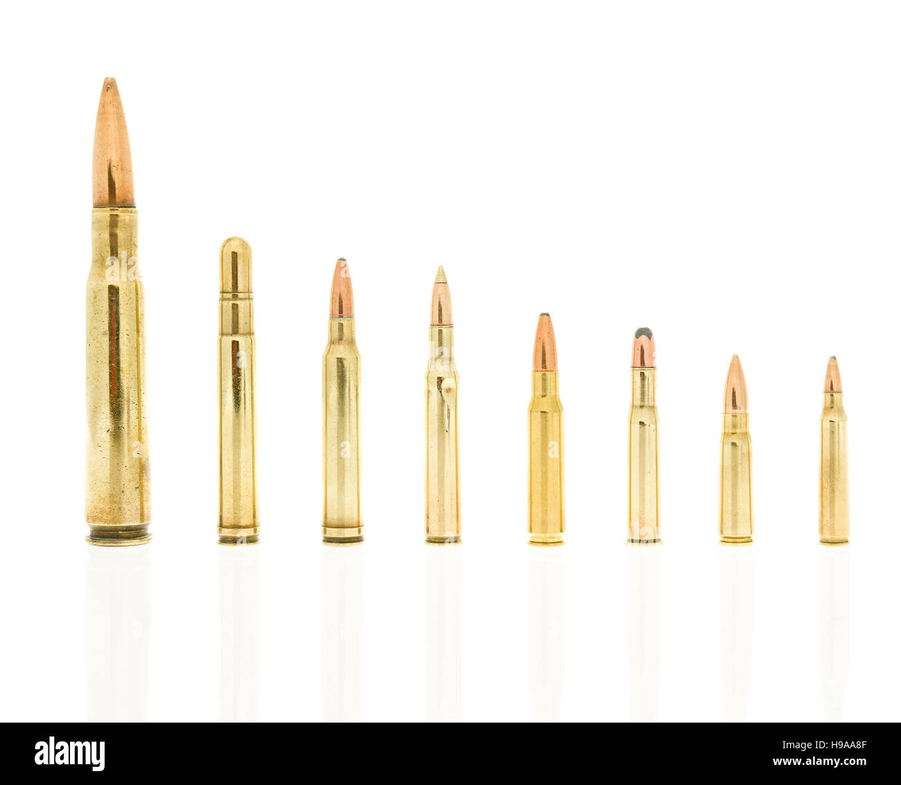 Rife rounds on an isolated background including 223, 5.56 nato, 39, 7.62 AK47, 30-30 win, 308 win, 270 win, 300 win mag, 416 rem mag, and a 50 50 BMG  Stock Photo