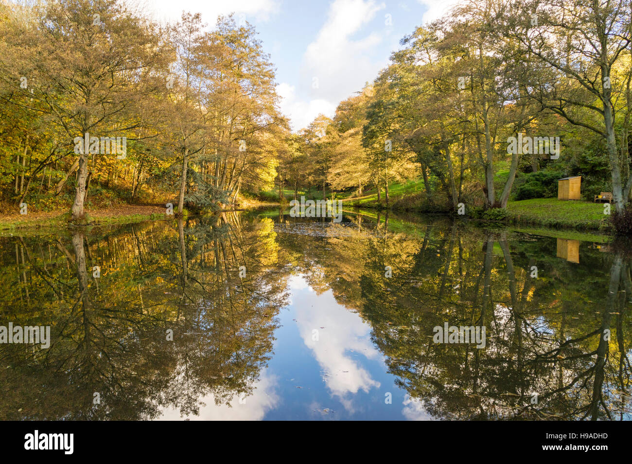 Autumn pool reflections, England, UK Stock Photo