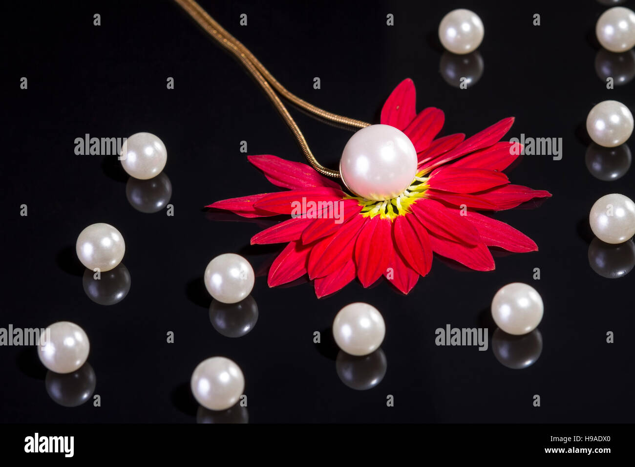 White pearls necklace on black background. Focus on the big pearl over red petals! Stock Photo