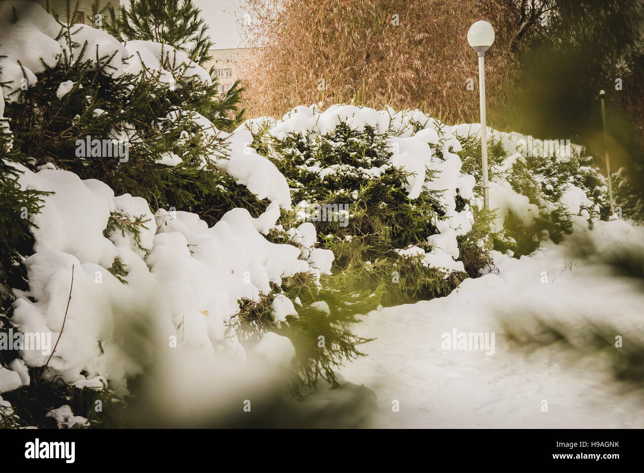 Beautiful winter landscape with snow covered trees Stock Photo - Alamy