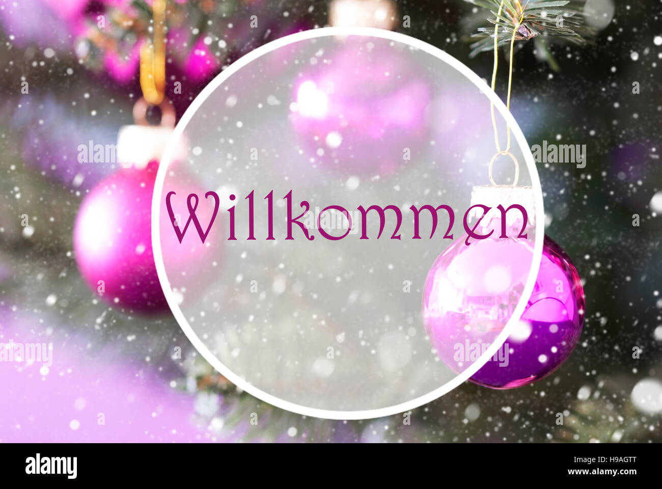 Rose Quartz Christmas Balls, Willkommen Means Welcome Stock Photo