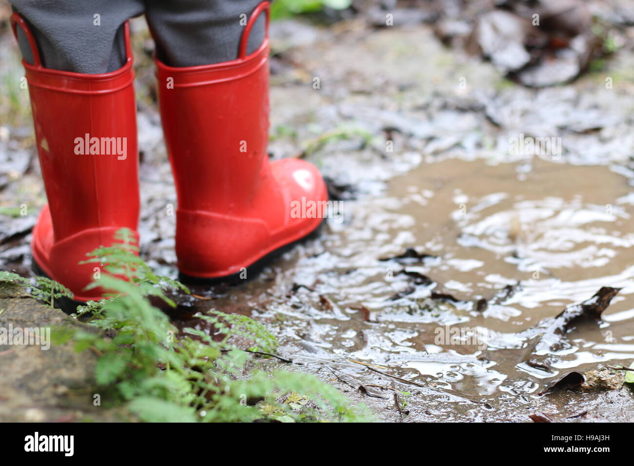 rain mud boots