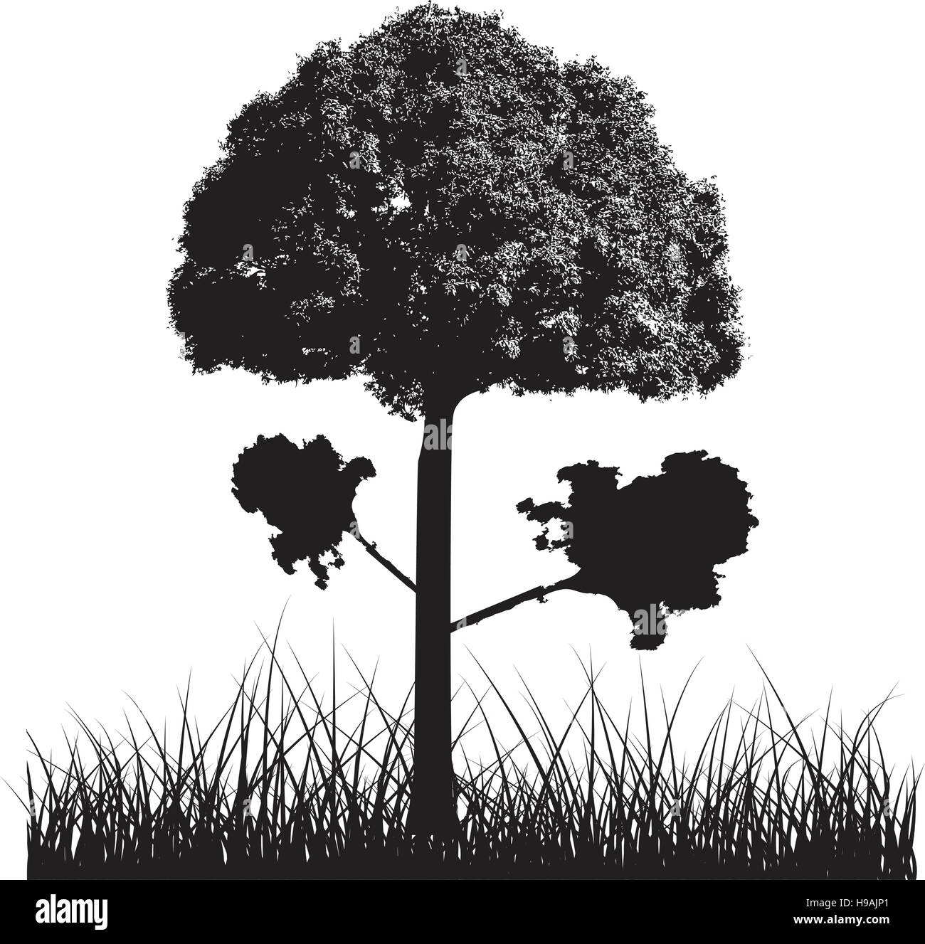 Black trees and grass Stock Vector Image & Art - Alamy