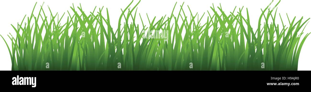 Grass vector vectors hi-res stock photography and images - Alamy