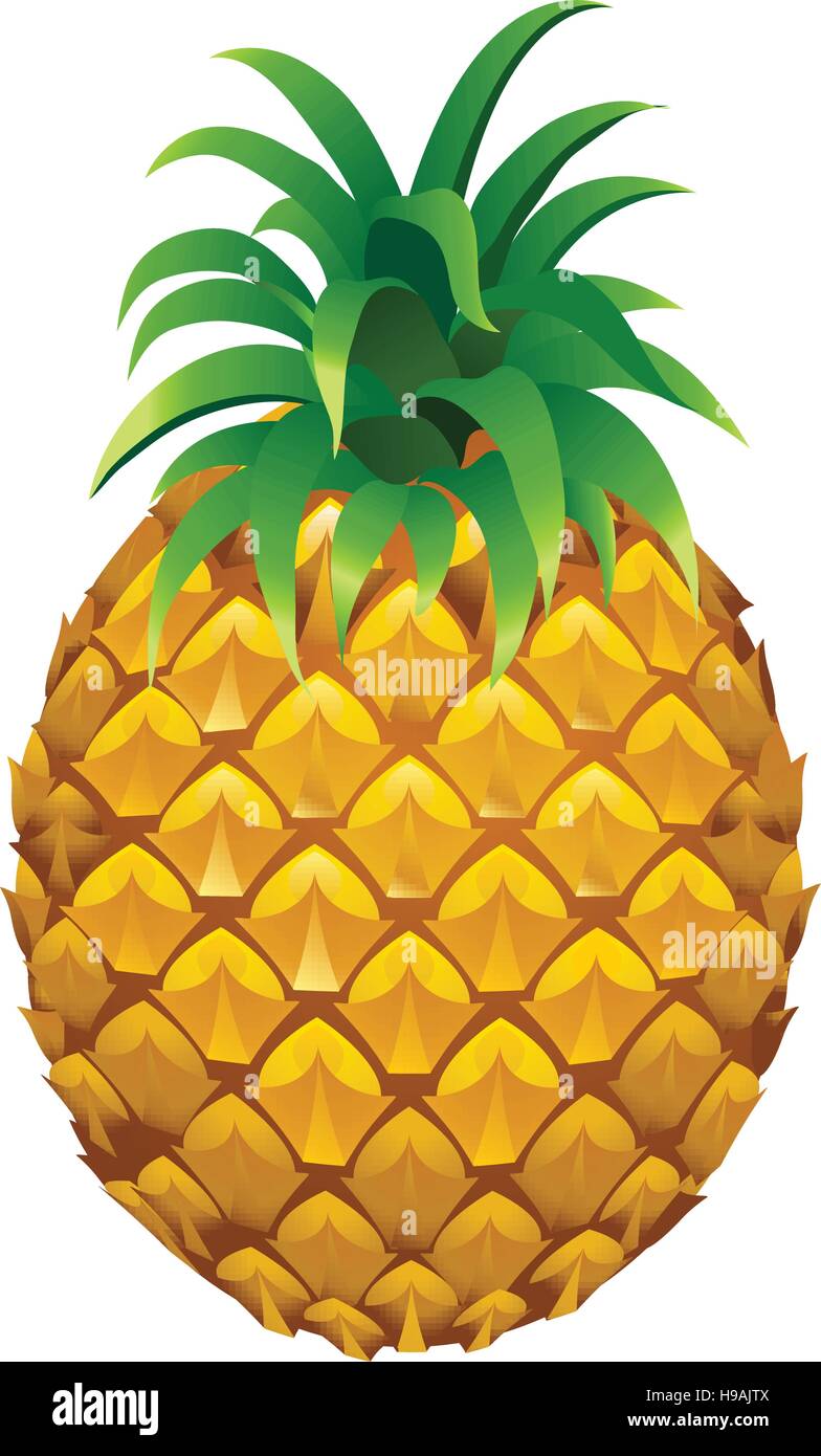 Pineapple detailed Stock Vector Images - Alamy