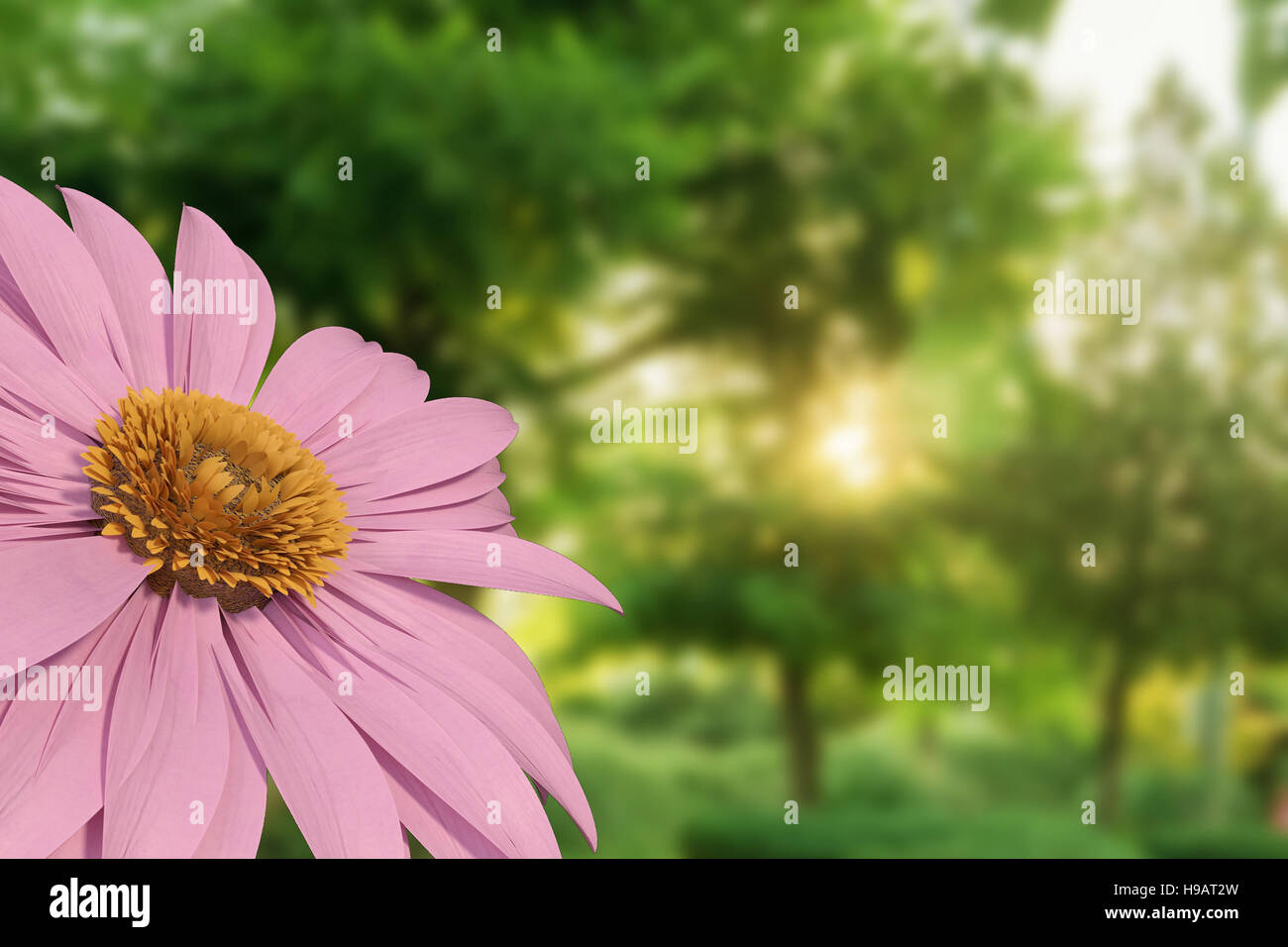 3D rendering of pink gerbera daisy isolated on blurred green park Stock Photo