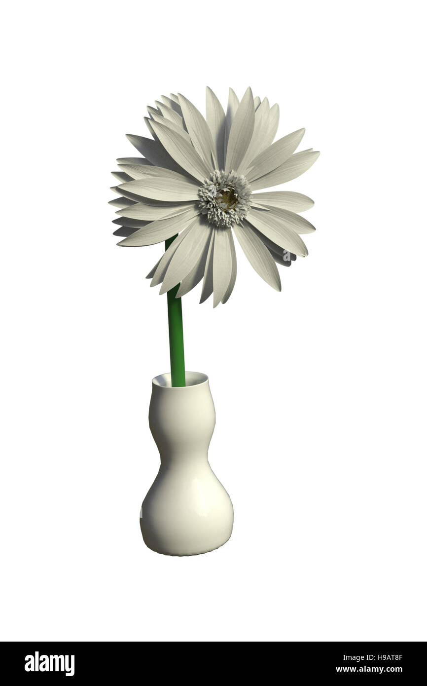 3D rendering of isolated white gerbera daisy in a white vase on white background Stock Photo