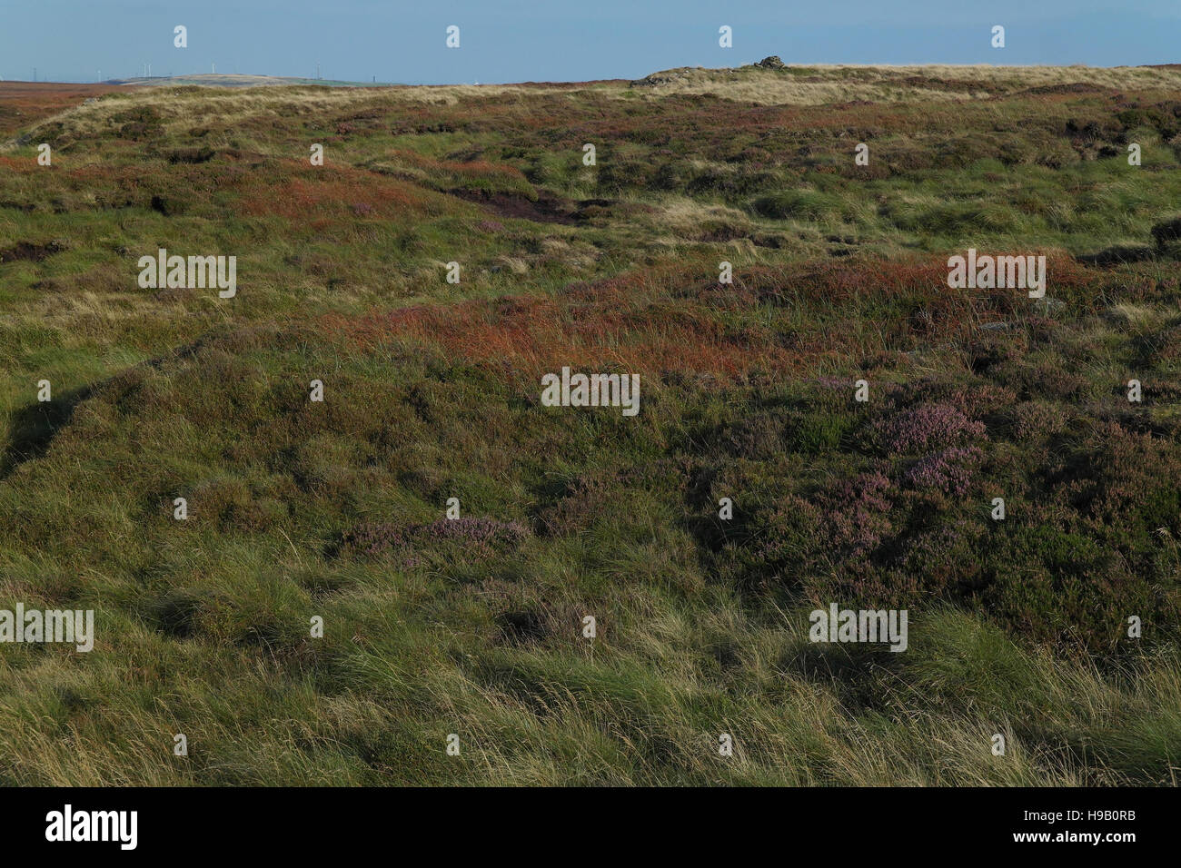 Blue sky view, east to Soil Hill and Bradford, heather and purple moor grass on moorland plateau, Nab Hill, north of Halifax, West Yorkshire, UK Stock Photo