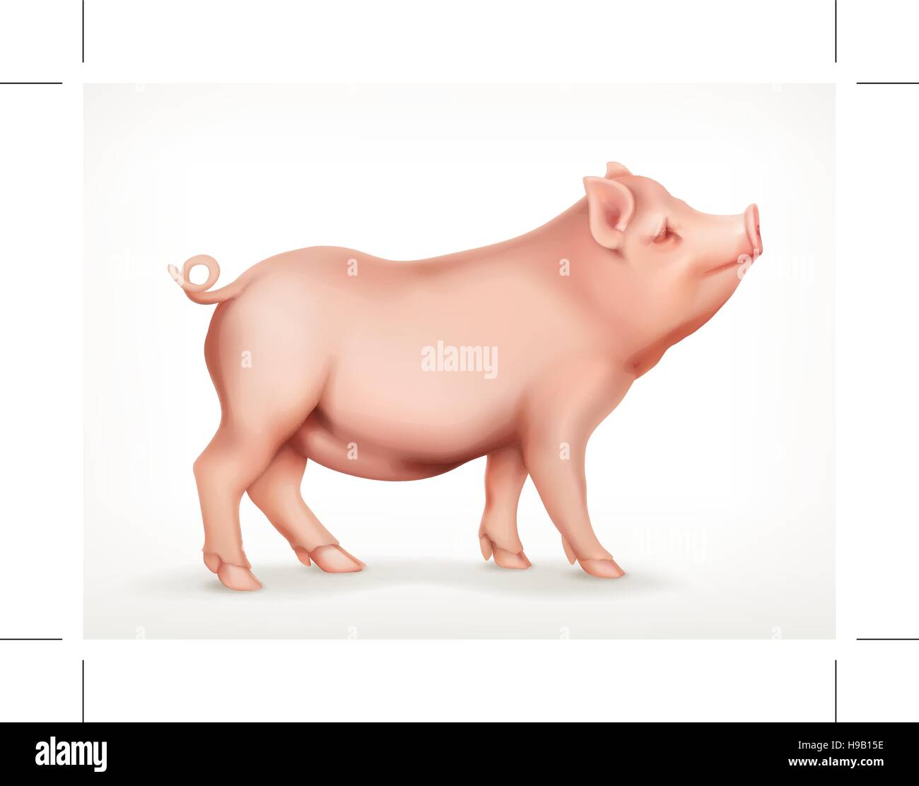 Pig farming vector vectors hi-res stock photography and images - Alamy