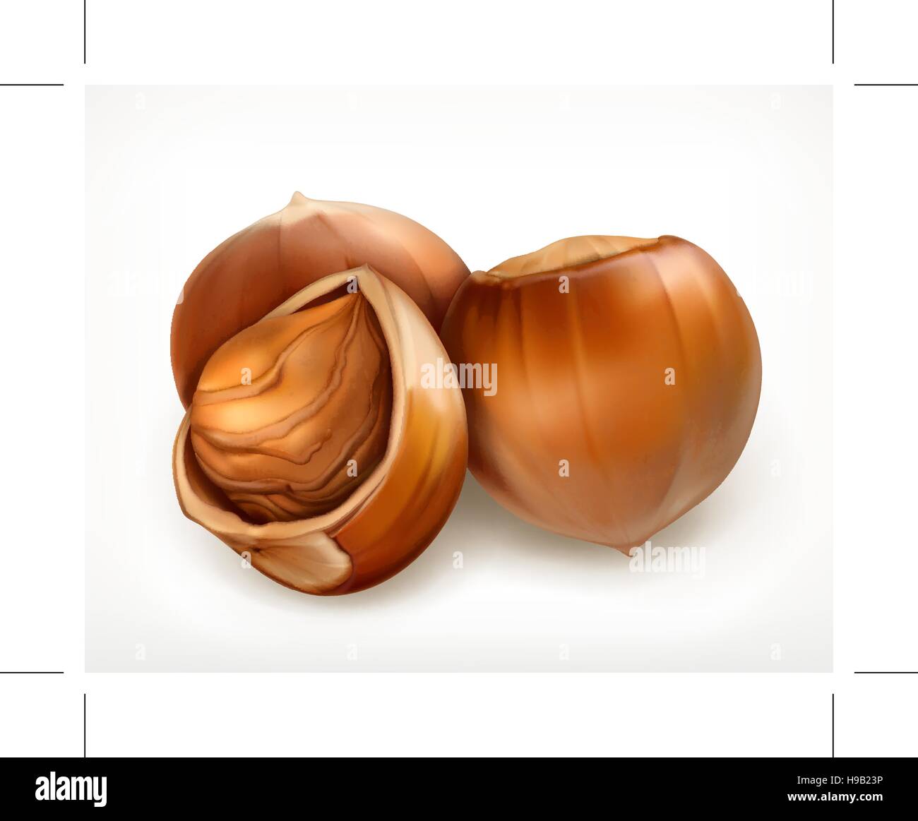 Hazelnuts closeup photo Cut Out Stock Images & Pictures - Alamy