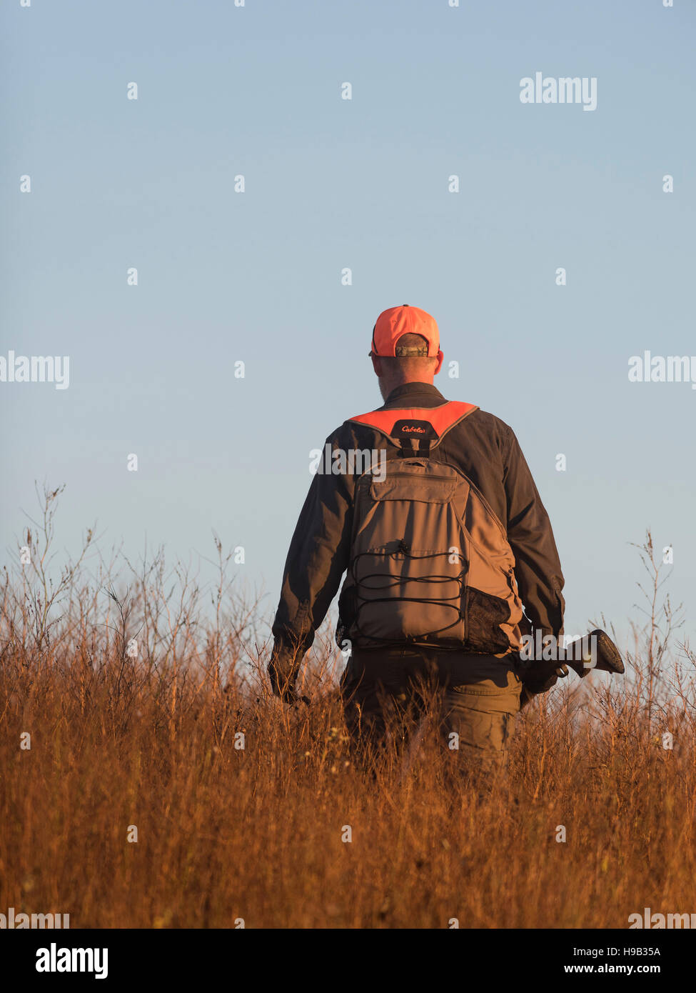 A pheasant hunter in North Dakota Stock Photo Alamy