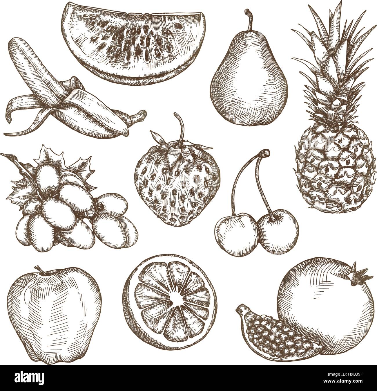Fruit, sketches, hand drawing, vector set Stock Vector Image & Art ...