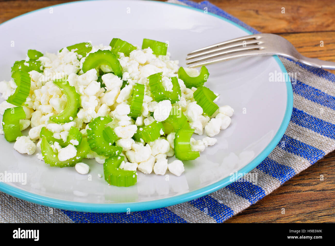 Dietary Dish Of Granulated Cottage Cheese And Celery Studio Photo