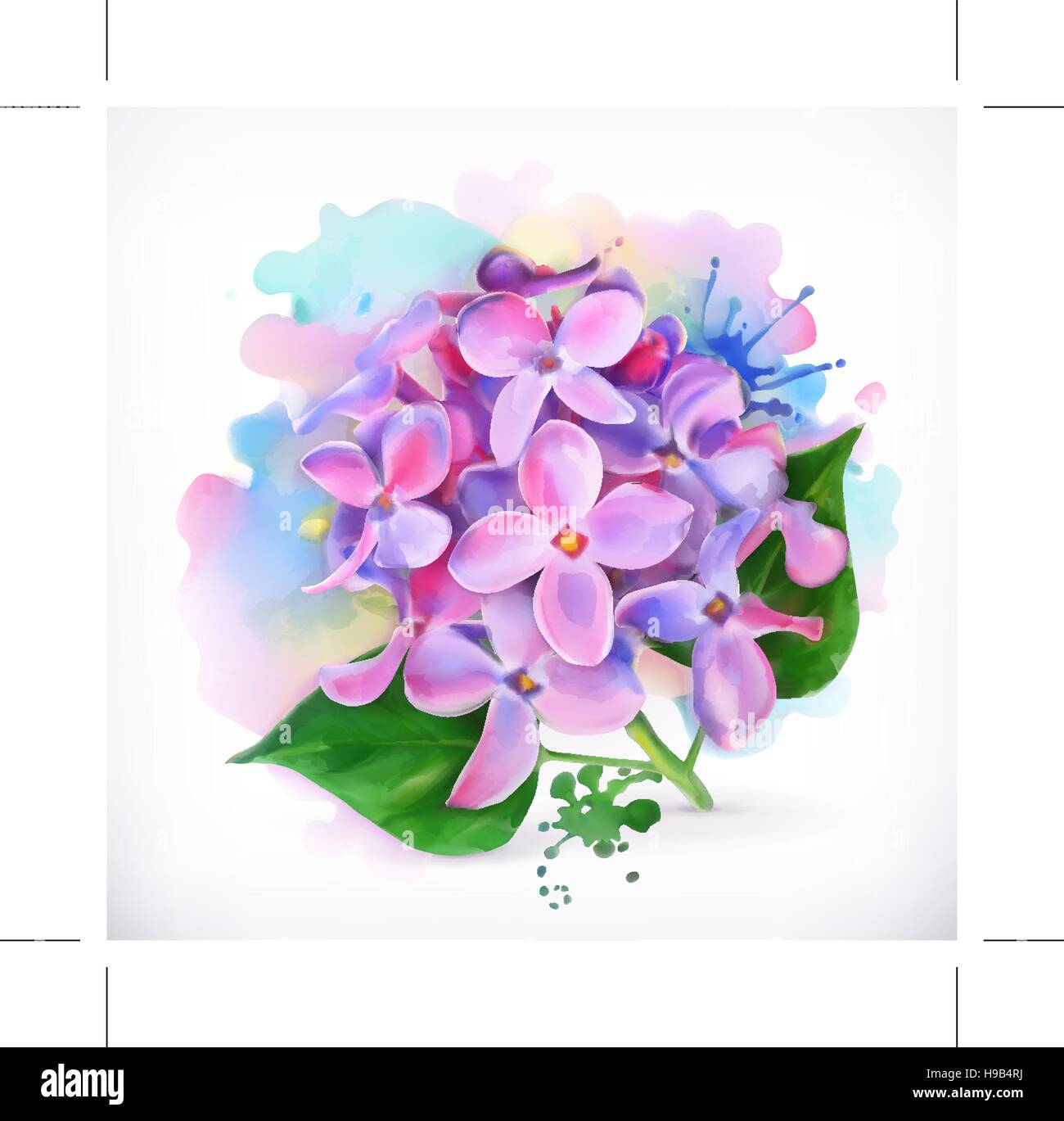 Lilac flowers, watercolor painting, mesh vector Stock Vector