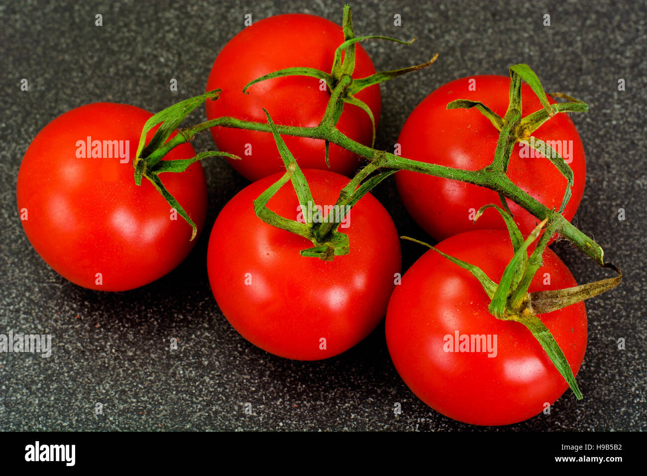 Red Tomatoes Isolated on a Black Background Studio Photo Stock Photo ...