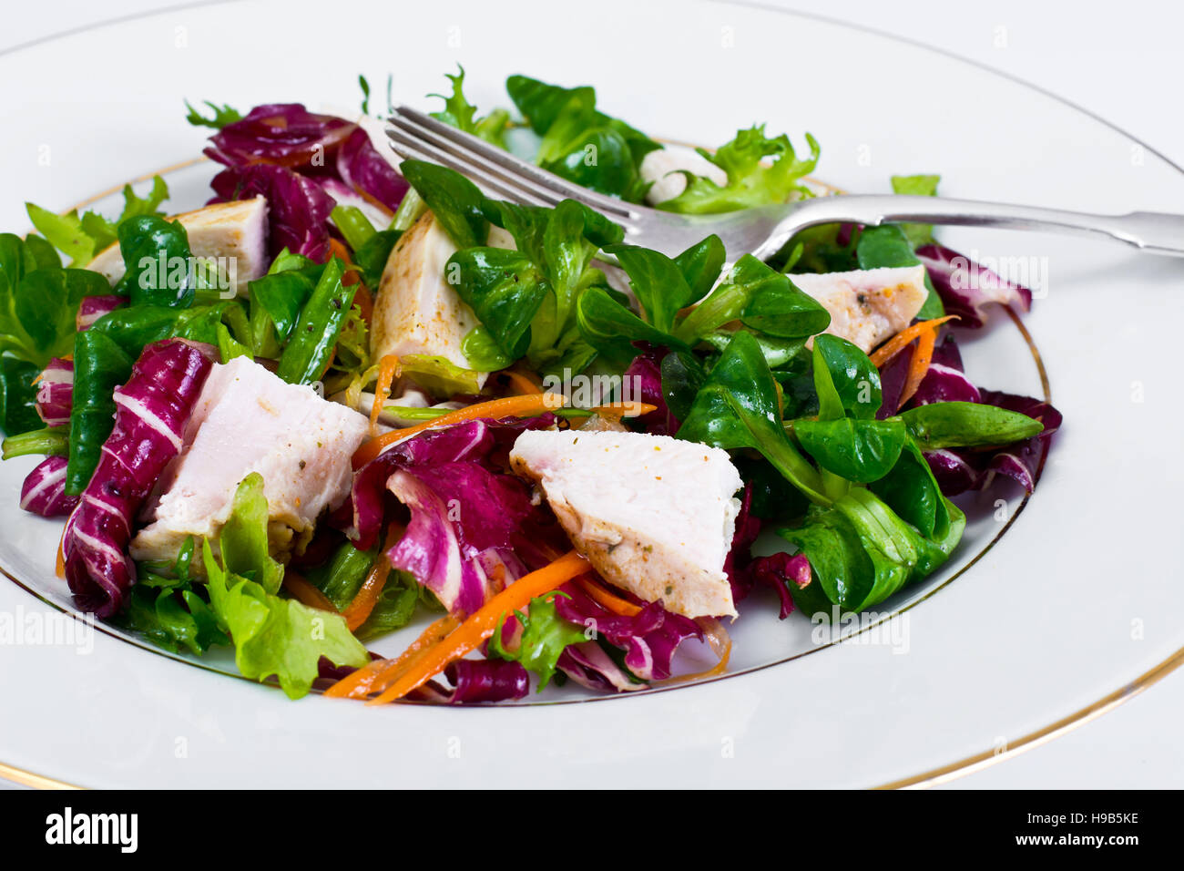 Salad Mix Batavian, Frise, Radicchio, Chicory  Chicken Dietary Meal Stock Photo