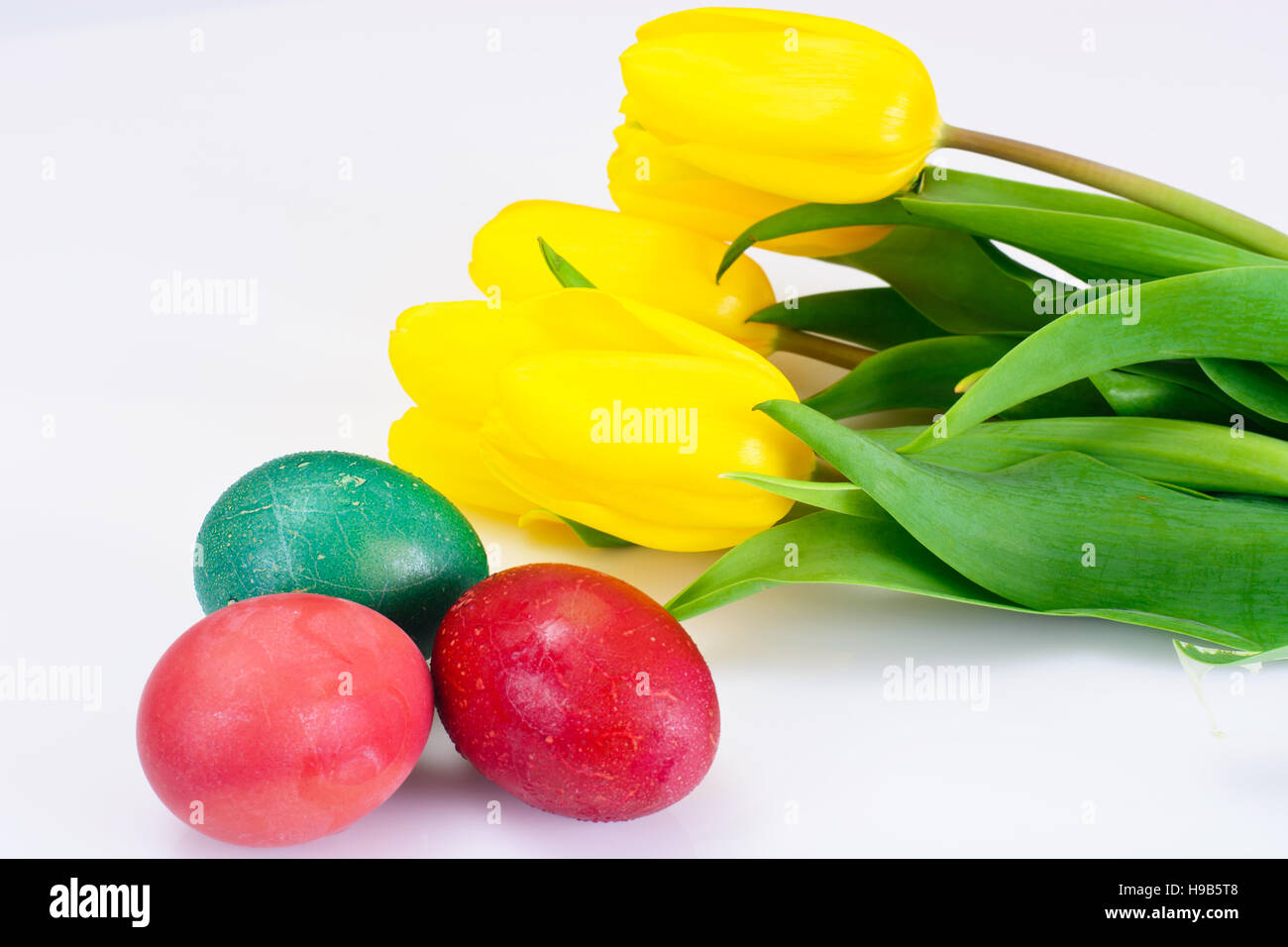 Painted Easter Eggs and Spring Yellow Tulips Flower Studio Photo Stock ...