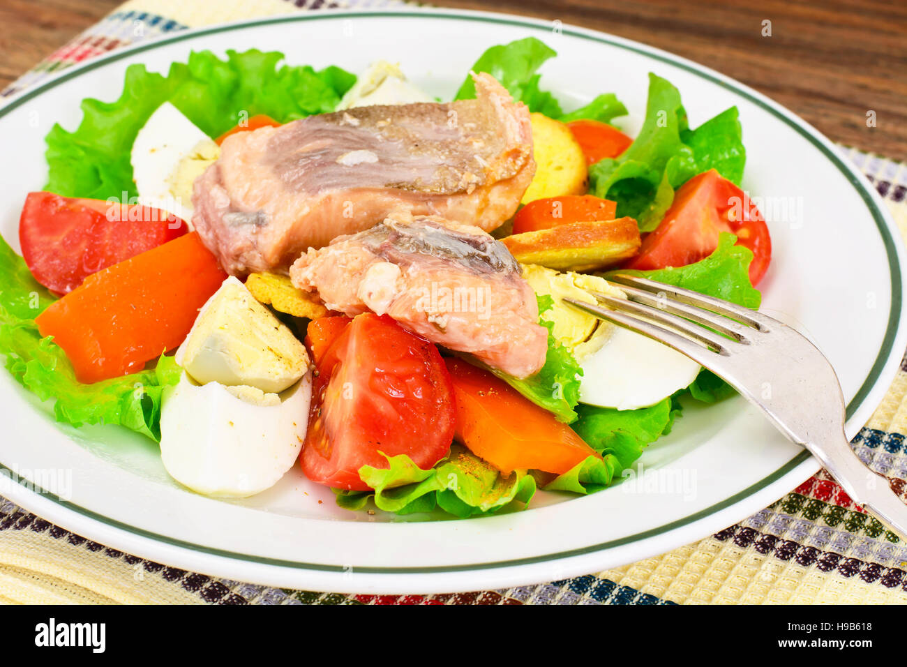 Salmon, Lettuce, Tomato and Sweet Pepper with Egg Studio Photo Stock