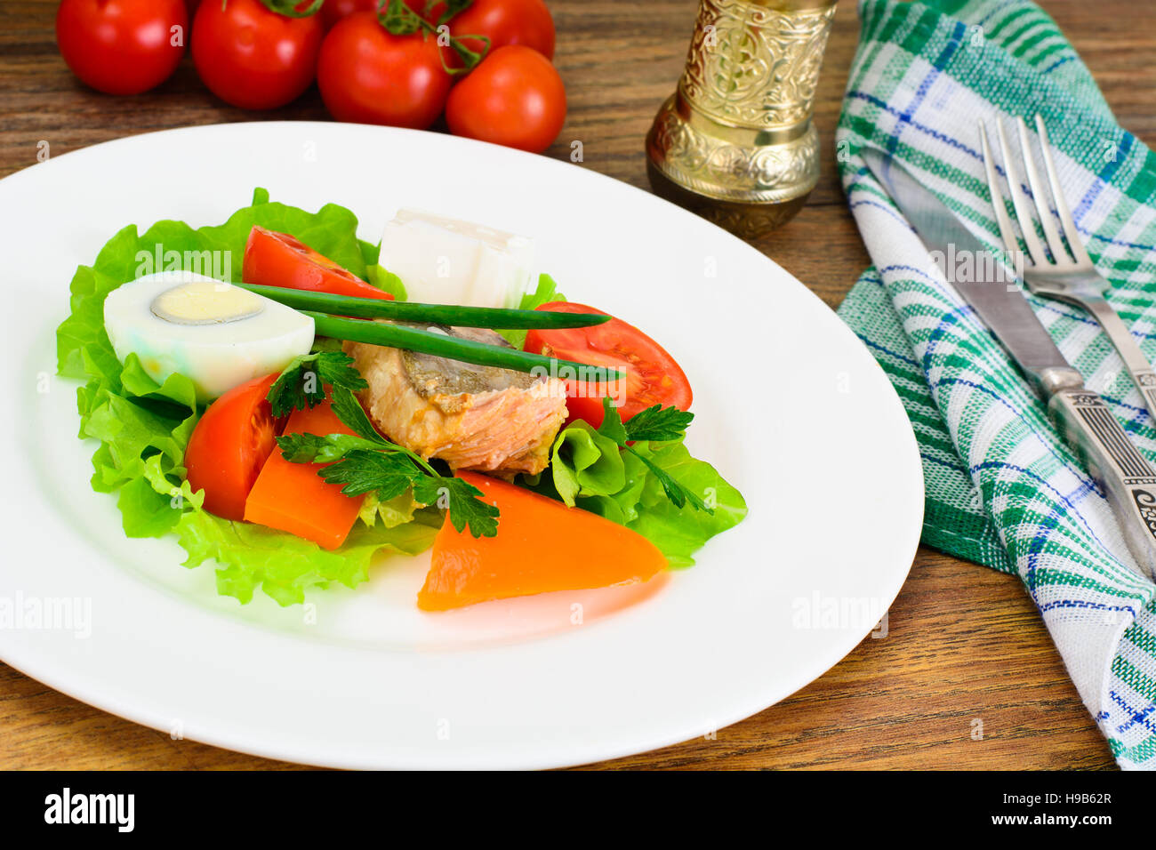 Salmon, Lettuce, Tomato and Sweet Pepper with Egg Studio Photo Stock