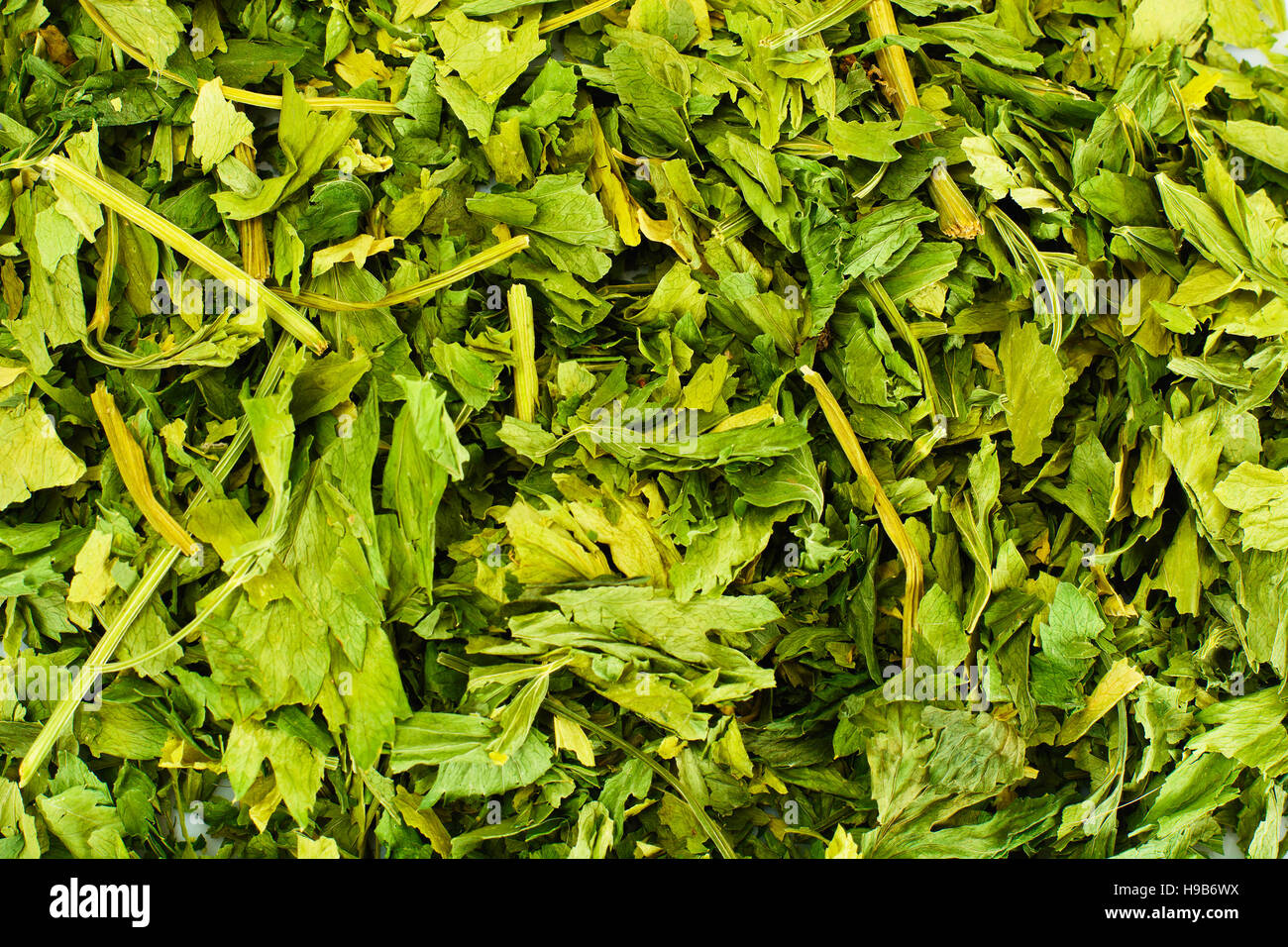 Dried Parsley Seasoning Studio Photo Stock Photo Alamy