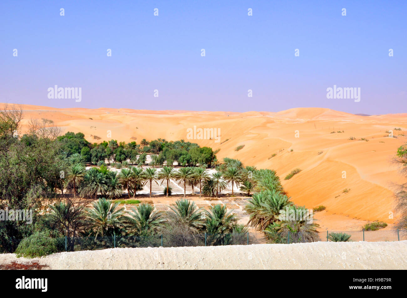 Desert Oasis Stock Photo - Alamy