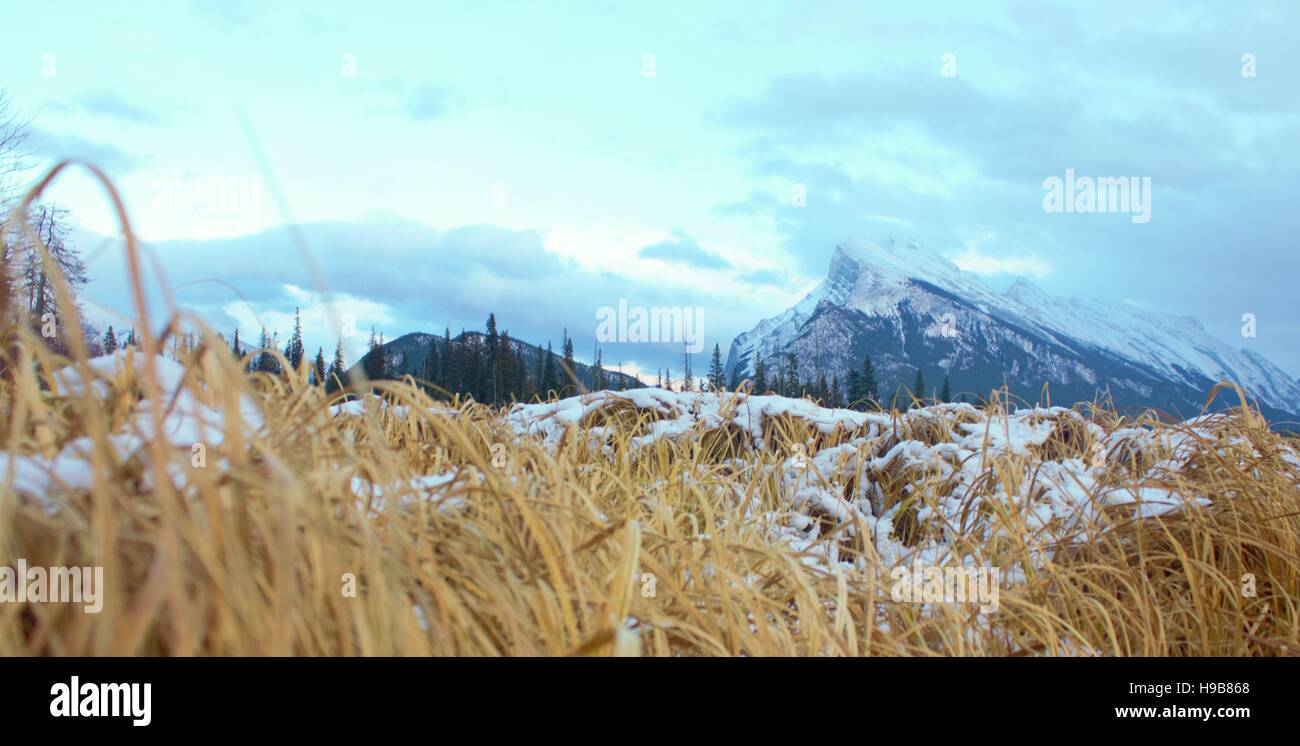 Rundel hi-res stock photography and images - Alamy